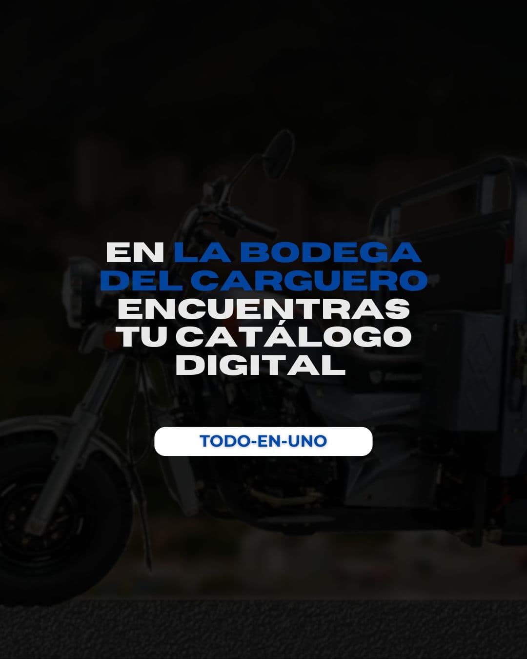 BDC Motocargueros